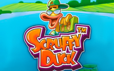 La slot machine Scruffy Duck